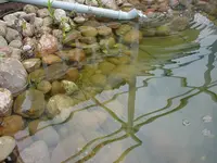 DSC04398.webp
