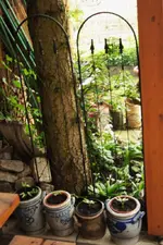 20.05 (9).webp