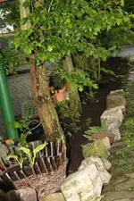 20.05 (10).webp