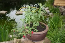 20.05 (13).webp