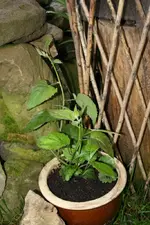 20.05 (14).webp