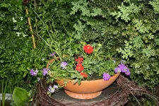 20.05 (15).webp