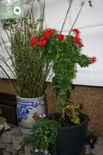 20.05 (17).webp