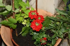20.05 (19).webp