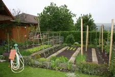 Gemüsegarten.webp