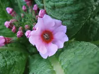 IMG_5163_1024x768.webp