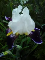 DSC01223.webp