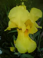 DSC01224.webp