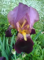 DSC01227.webp
