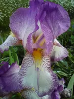DSC01228.webp