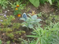 20.05.2010 008.webp