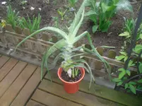 20.05.2010 026.webp