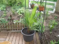 20.05.2010 027.webp