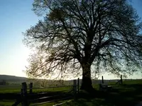 CIMG1834.webp