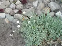 20.05.2010 endlich Sonne 016.webp