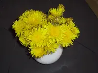 Mai 003.webp Mai 003.webp