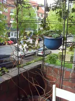 SDC14941.webp