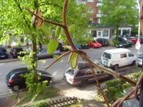 SDC14942.webp