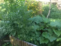 HPIM4434.webp