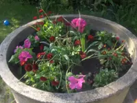 HPIM4436.webp