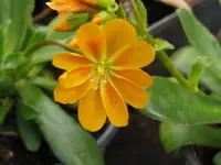 IMG_5169_1024x768.webp