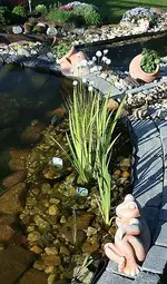 Froggi am Teich_klein.webp