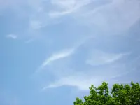 2010  Berlin 05 101.webp