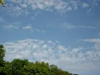 2010  Berlin 05 116.webp