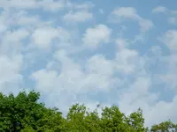 2010  Berlin 05 119.webp