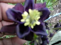 2010  Berlin 05 076.webp