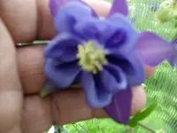 2010  Berlin 05 078.webp