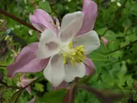 2010  Berlin 05 080.webp
