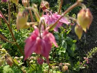 2010  Berlin 05 127.webp