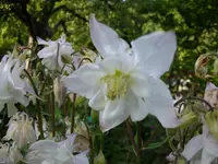 2010  Berlin 05 129.webp