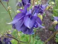2010  Berlin 05 133.webp