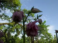 2010  Berlin 05 139.webp