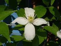 P1020016.webp