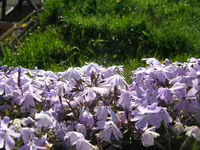 IMG_5181_1024x768.webp