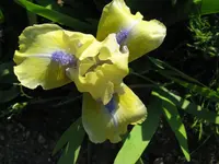 IMG_sarah taylor_1024x768.webp