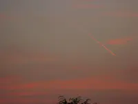 IMG_1202.webp