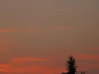 IMG_1203.webp