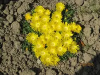 Bild 116.webp