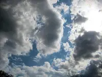 IMG_1786.webp