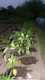 S7303571.webp