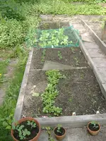 DSCF4769.webp