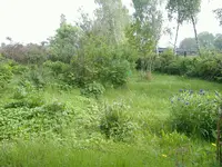 DSCF4771.webp