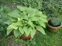 DSCF4766.webp