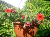 JD800002.webp