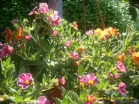 JD800003.webp