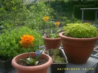JD800013.webp
